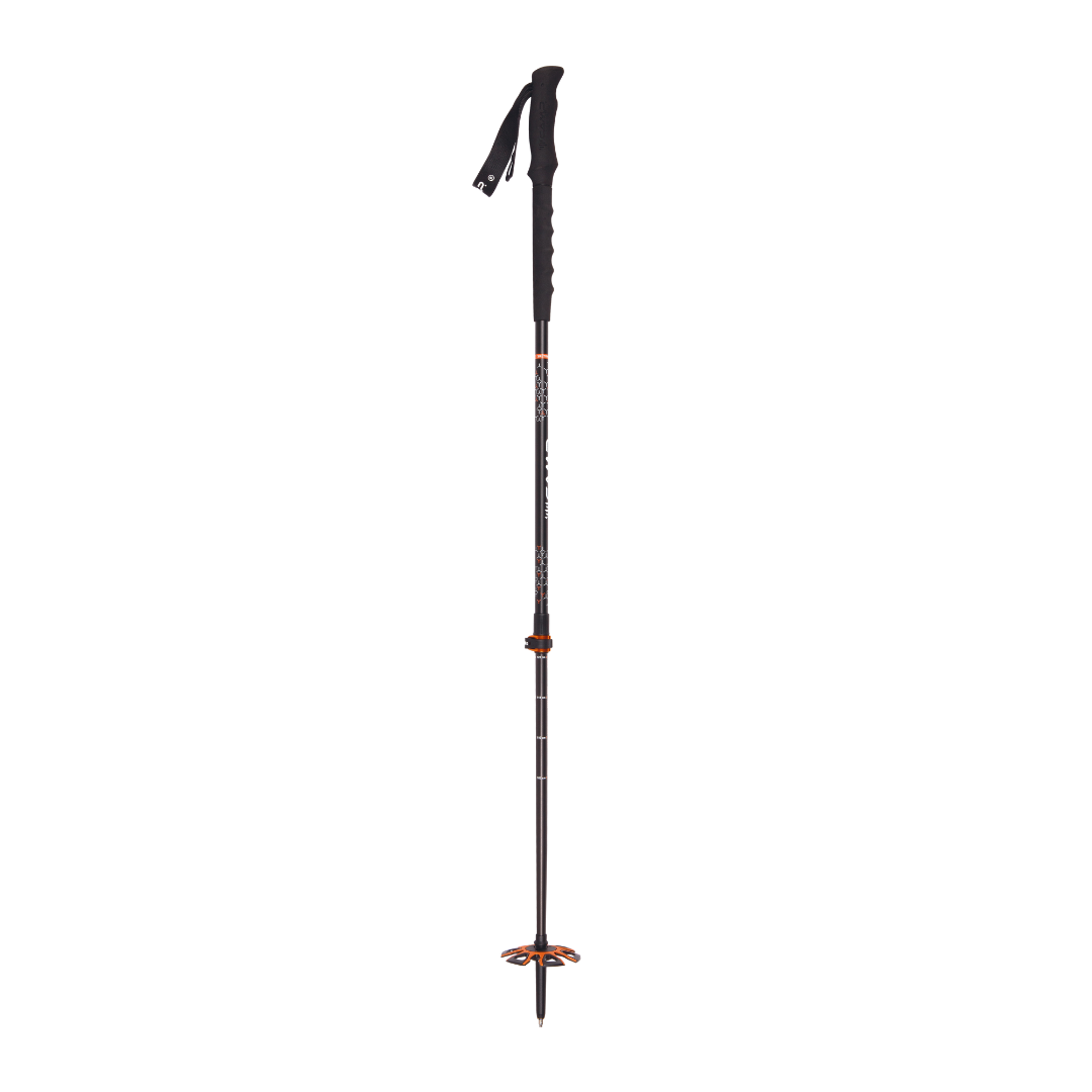 Bastoncini SKI TRACK LASER