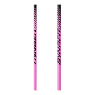 DYNAFIT Tour Pole