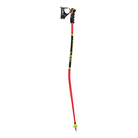 Poles LEKI WCR Lite GS 3D
