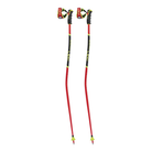 Poles LEKI WCR TBS GS 3D