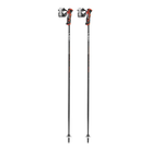 Poles Alpine Skiing LEKI Airfoil 3D